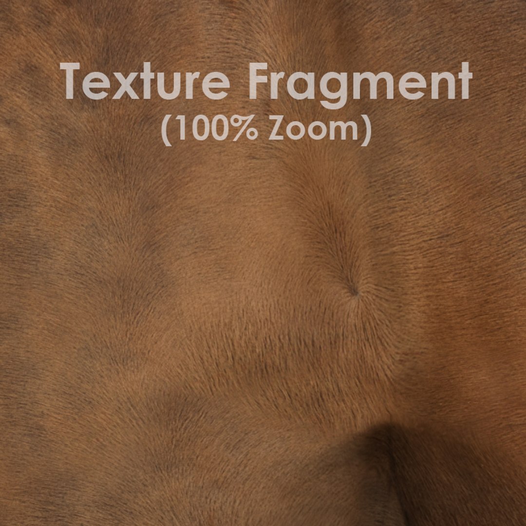 3D model horse animal mammal https://p.turbosquid.com/ts-thumb/Bv/1Gf3bz/cnrPTr3N/quality_01/jpg/1554973810/1920x1080/fit_q87/1da523822b88108be97abb31c46b09ffa77f334c/quality_01.jpg