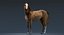 3D model horse animal mammal