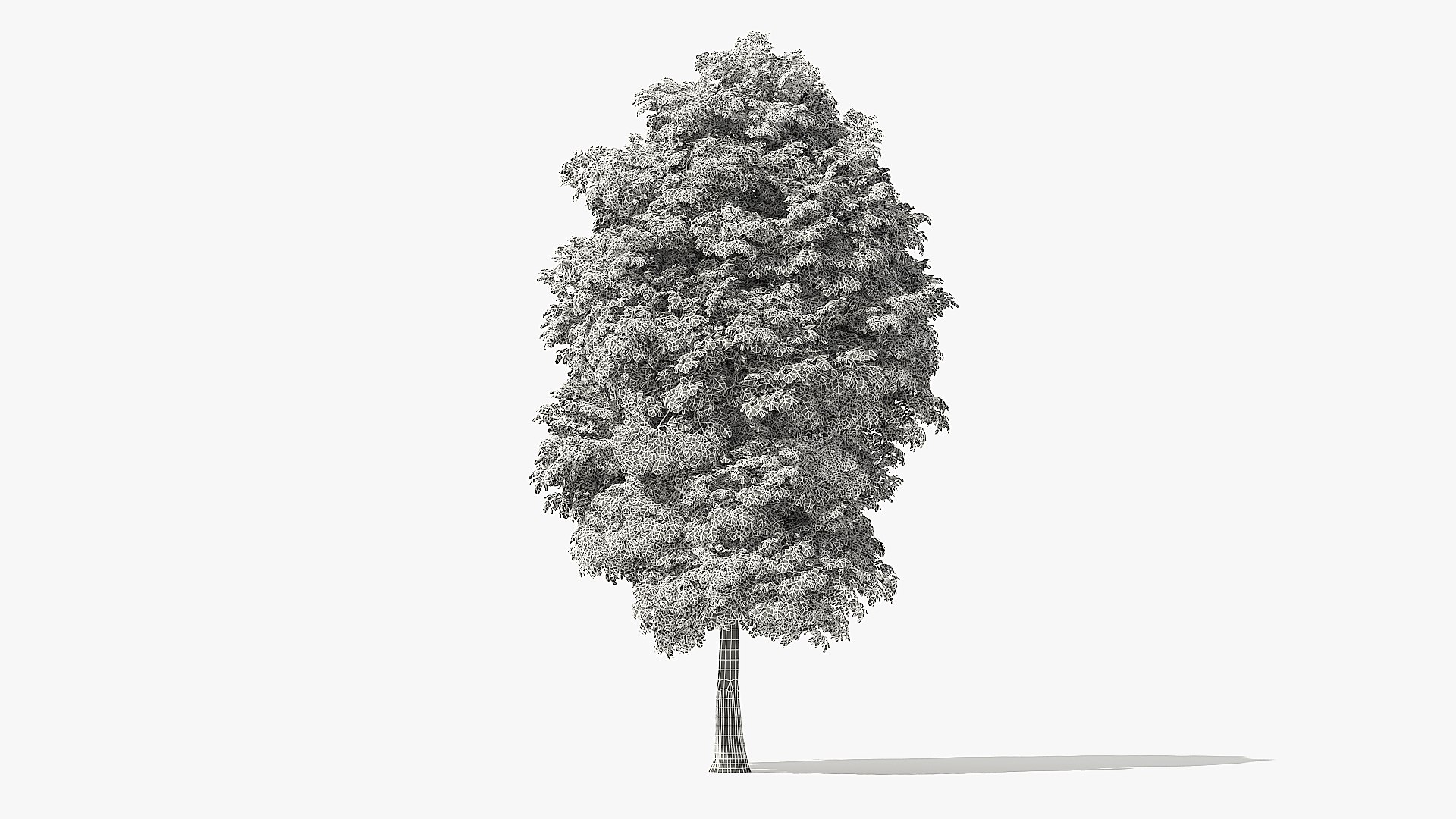 3D tree rock elm https://p.turbosquid.com/ts-thumb/Bv/5gci6S/OKlLOSAt/20_meter_rock_elm_tree_turntable_grid_000012/jpg/1572121024/1920x1080/fit_q87/29b83f574607f580235cf0eae1e86b08f9b48ede/20_meter_rock_elm_tree_turntable_grid_000012.jpg