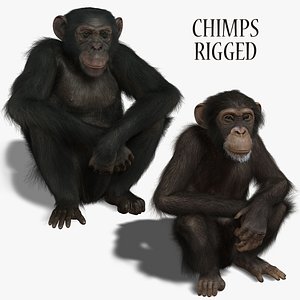3d chimps rigged fur