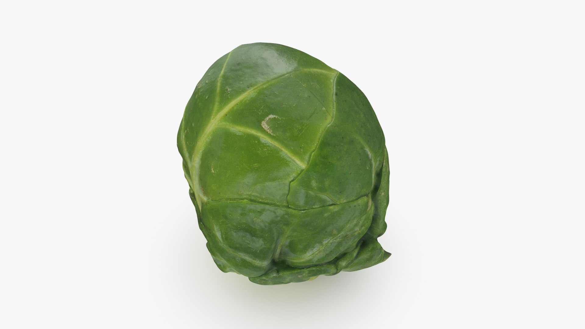 3D Brussels Sprout 06 model https://p.turbosquid.com/ts-thumb/Bv/FksE61/O4/brusselssprout06_b0002/jpg/1734598684/1920x1080/fit_q87/cef6116cd370882cc3cecea47884fccdd882cb35/brusselssprout06_b0002.jpg