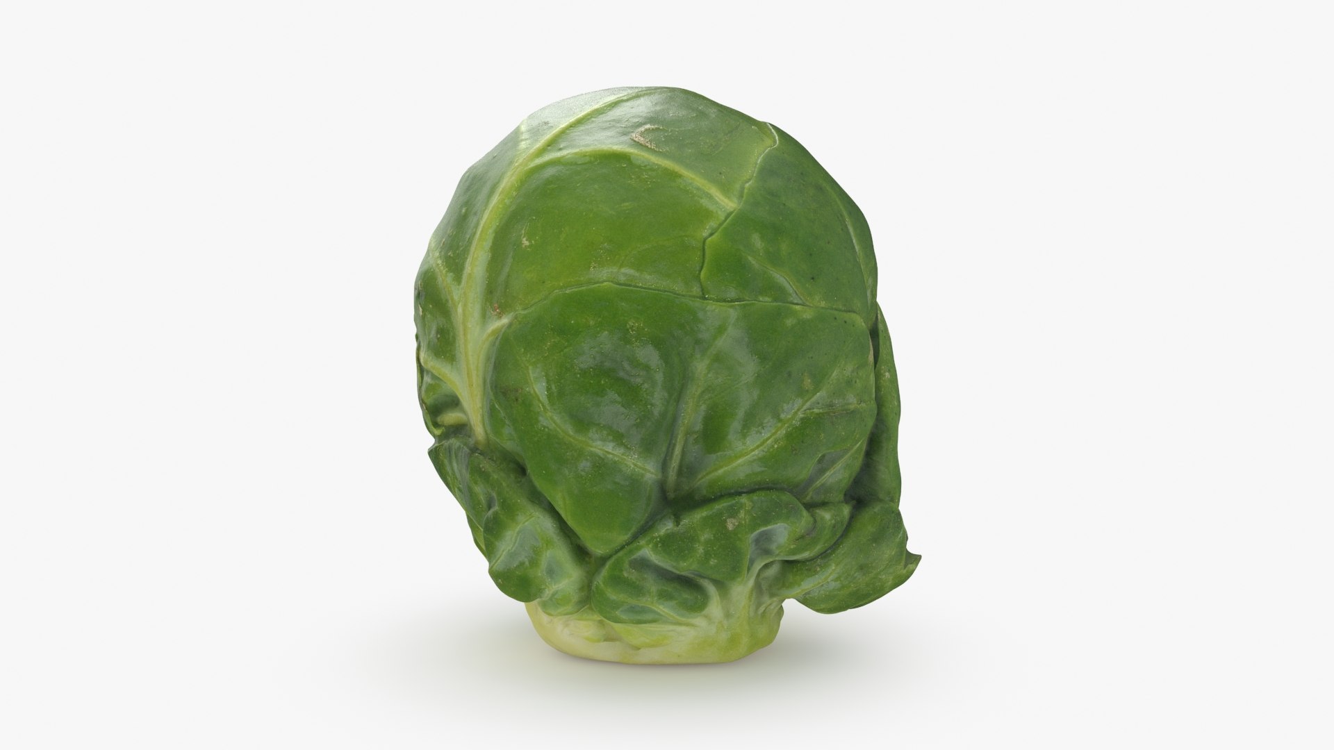 3D Brussels Sprout 06 model https://p.turbosquid.com/ts-thumb/Bv/FksE61/R0/brusselssprout06_b0012/jpg/1734598686/1920x1080/fit_q87/f62929a71b7bfa64960819d0f6ced8940677d671/brusselssprout06_b0012.jpg