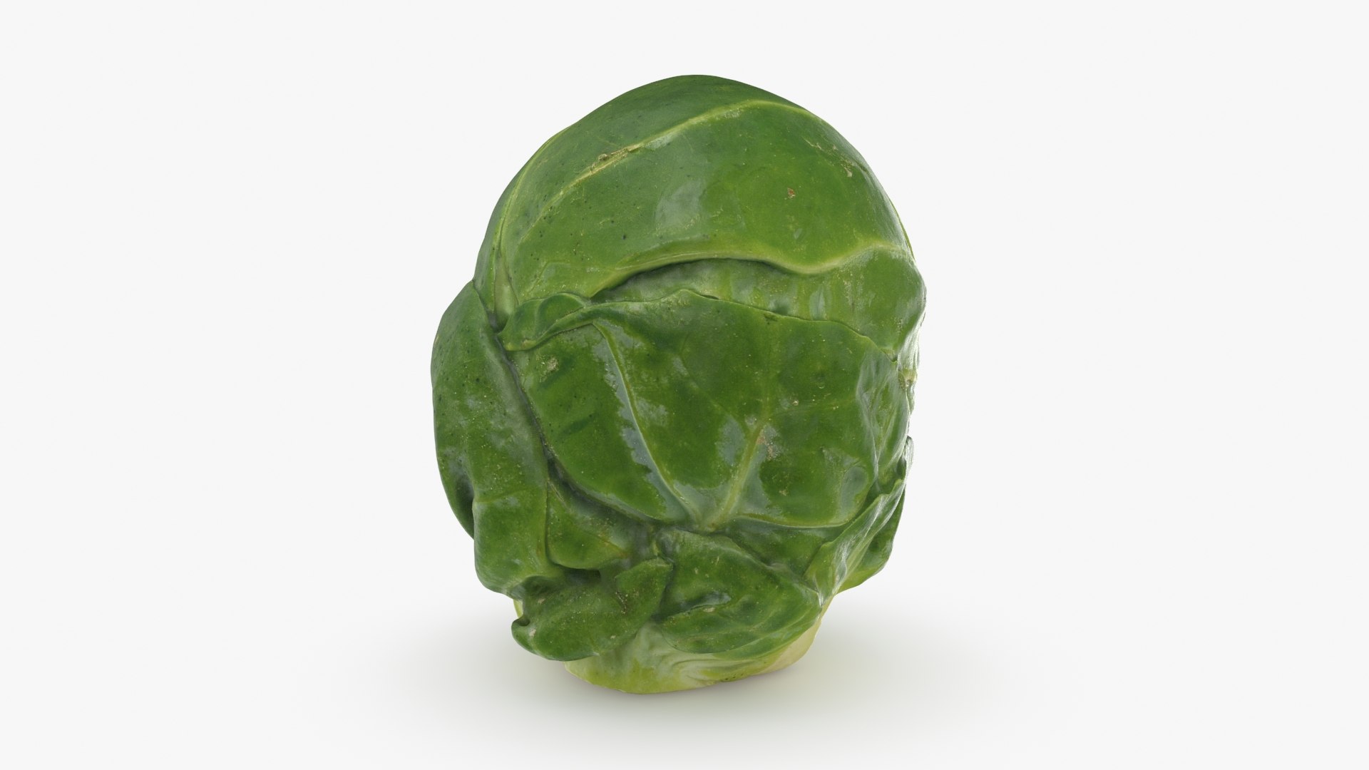 3D Brussels Sprout 06 model https://p.turbosquid.com/ts-thumb/Bv/FksE61/qq/brusselssprout06_b0018/jpg/1734598690/1920x1080/fit_q87/b1c8155688b66257447edbb37d2b7d80d77f0fad/brusselssprout06_b0018.jpg