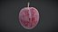 Fruit Japanese plum Low Poly