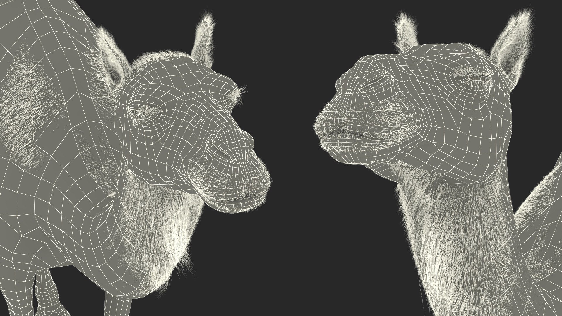 3D Dromedary Camel with Fur https://p.turbosquid.com/ts-thumb/Bv/HOge8x/19/dromedary_camel_with_fur_021/jpg/1744126407/1920x1080/fit_q87/109da38acd087f6e5457f1bc07d398bf2fbaea35/dromedary_camel_with_fur_021.jpg
