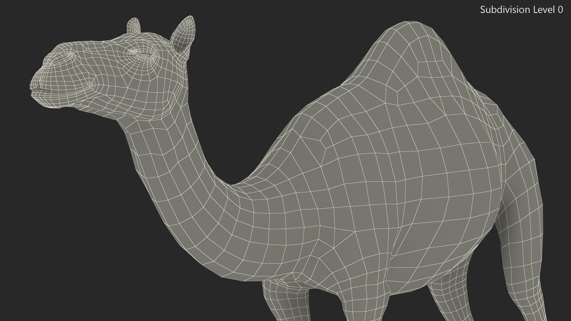 3D Dromedary Camel with Fur https://p.turbosquid.com/ts-thumb/Bv/HOge8x/OJ/dromedary_camel_with_fur_013/jpg/1744126373/1920x1080/fit_q87/1a5c5798dce764bac4d9ad7eef8b22f44de45bd6/dromedary_camel_with_fur_013.jpg