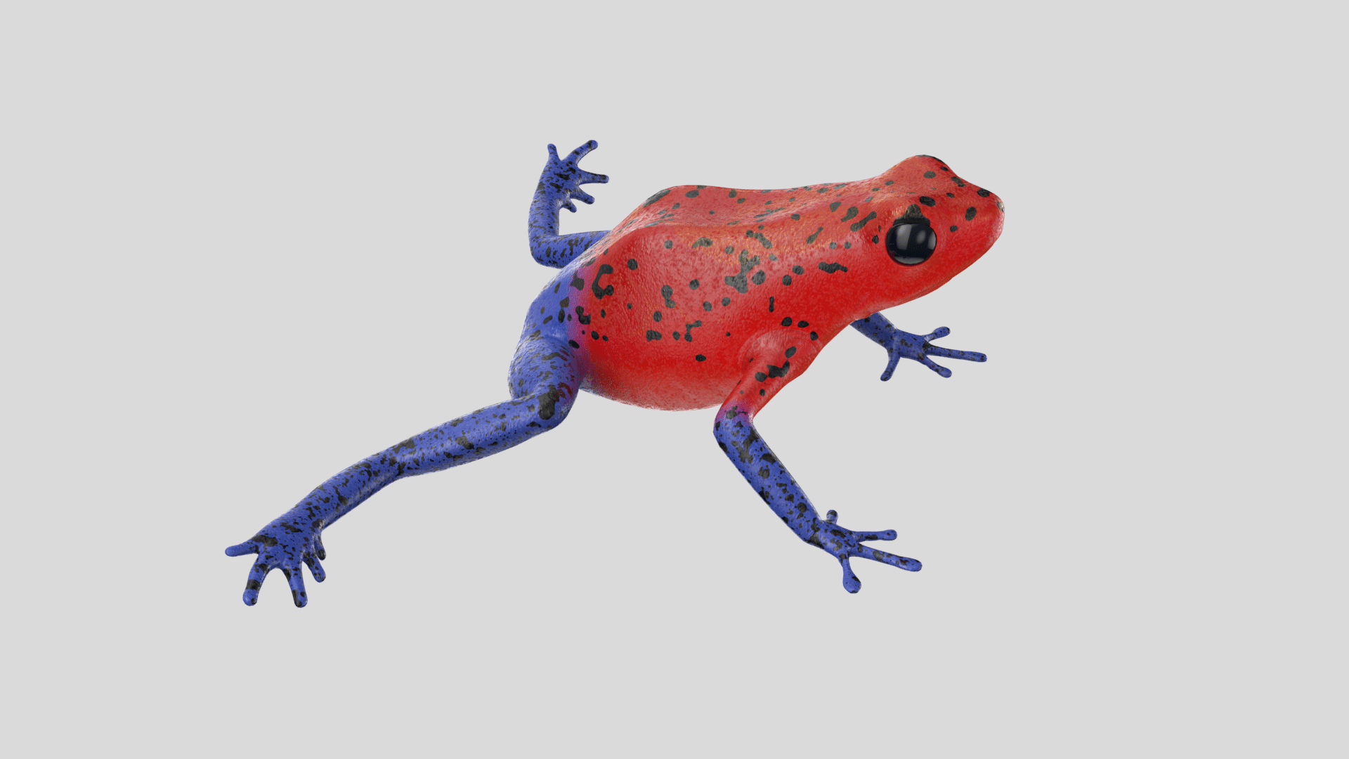 Strawberry Poison Frog Leggings (2 Colour Options) - XS-6XL (FREE SHIP