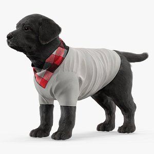 Dog Outfit with Plaid Bandana Fur 3D model