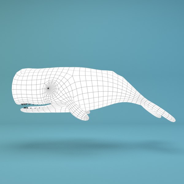Cartoon whale 3D - TurboSquid 1220442