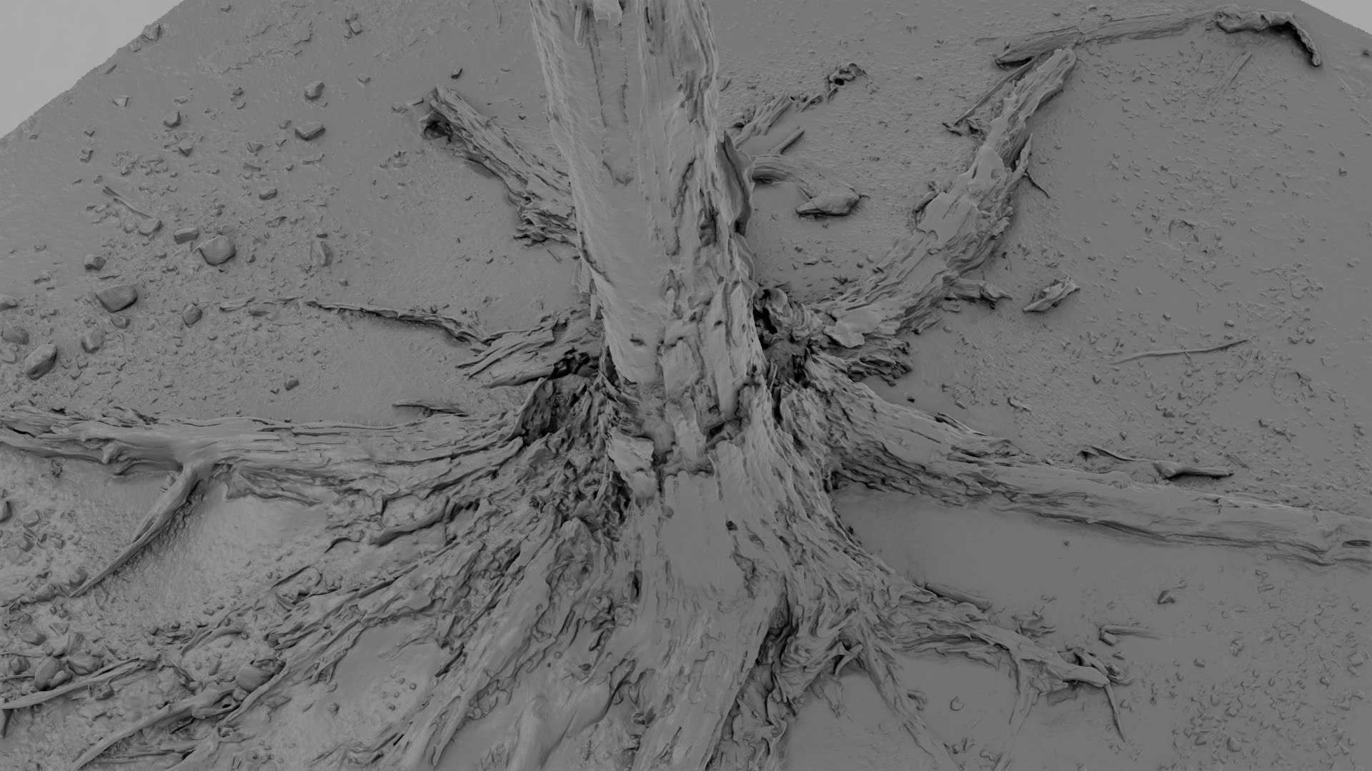 Dead Tree 019 3D Model - TurboSquid 2370900