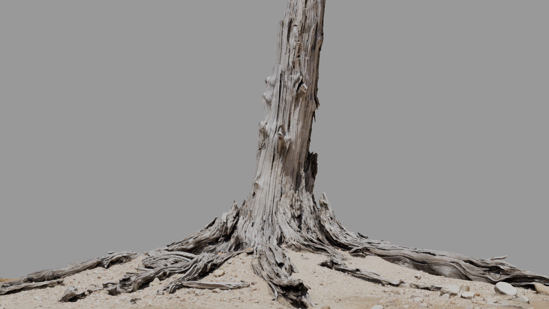 Dead Tree 019 3D Model - TurboSquid 2370900