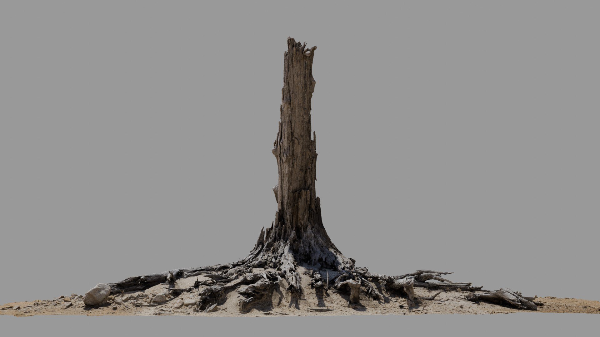 Dead Tree 019 3D Model - TurboSquid 2370900