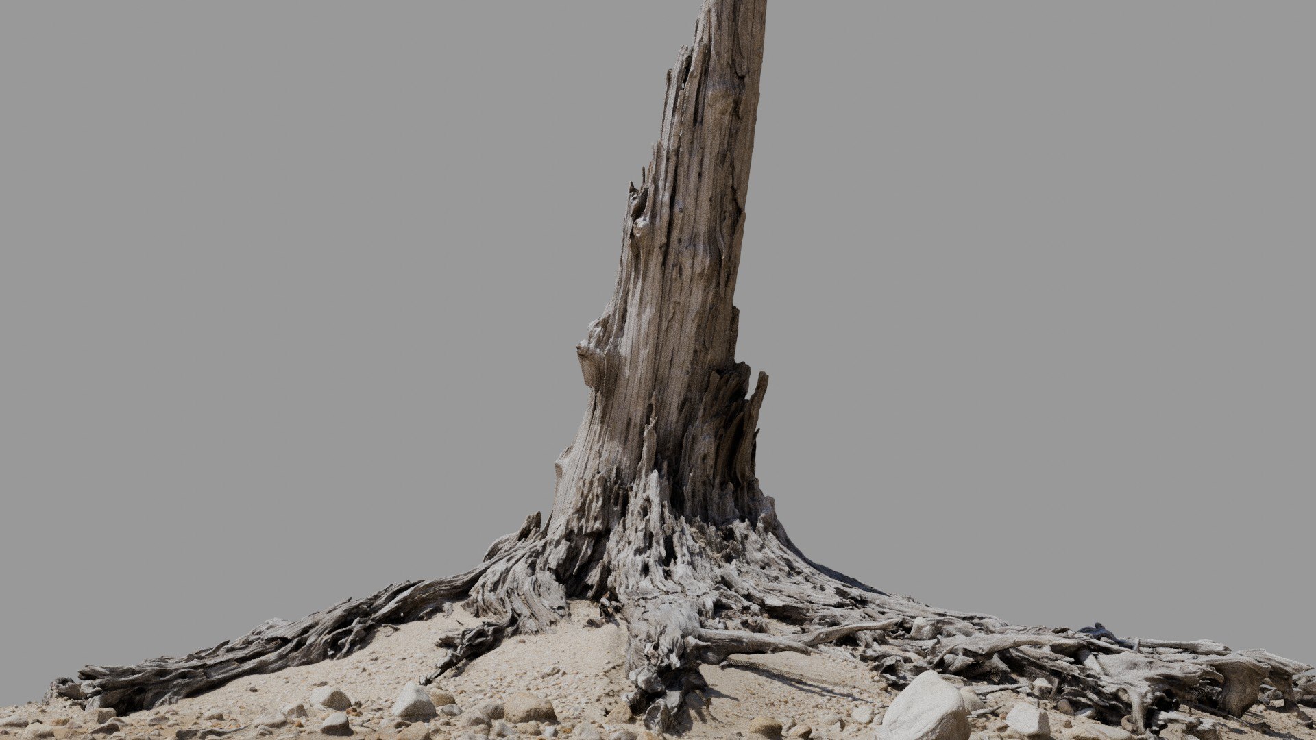 Dead Tree 019 3D Model - TurboSquid 2370900