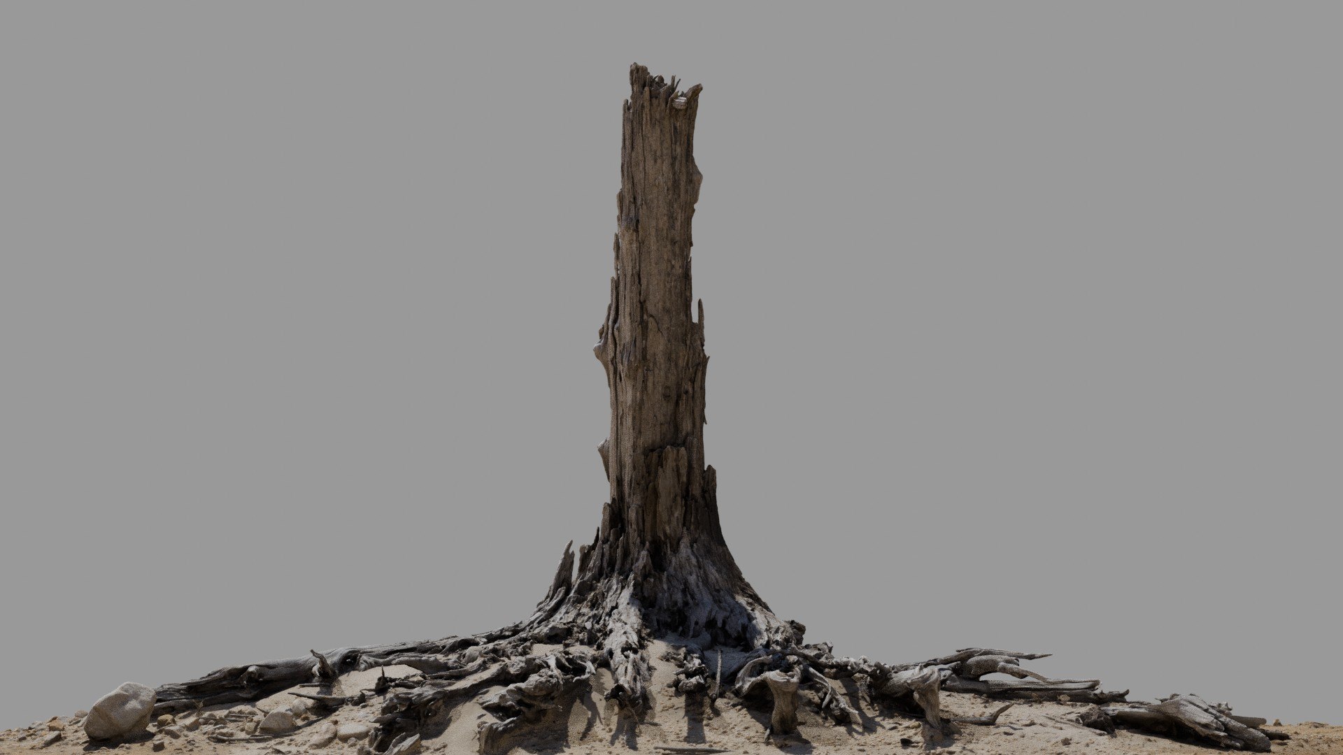 Dead Tree 019 3D Model - TurboSquid 2370900