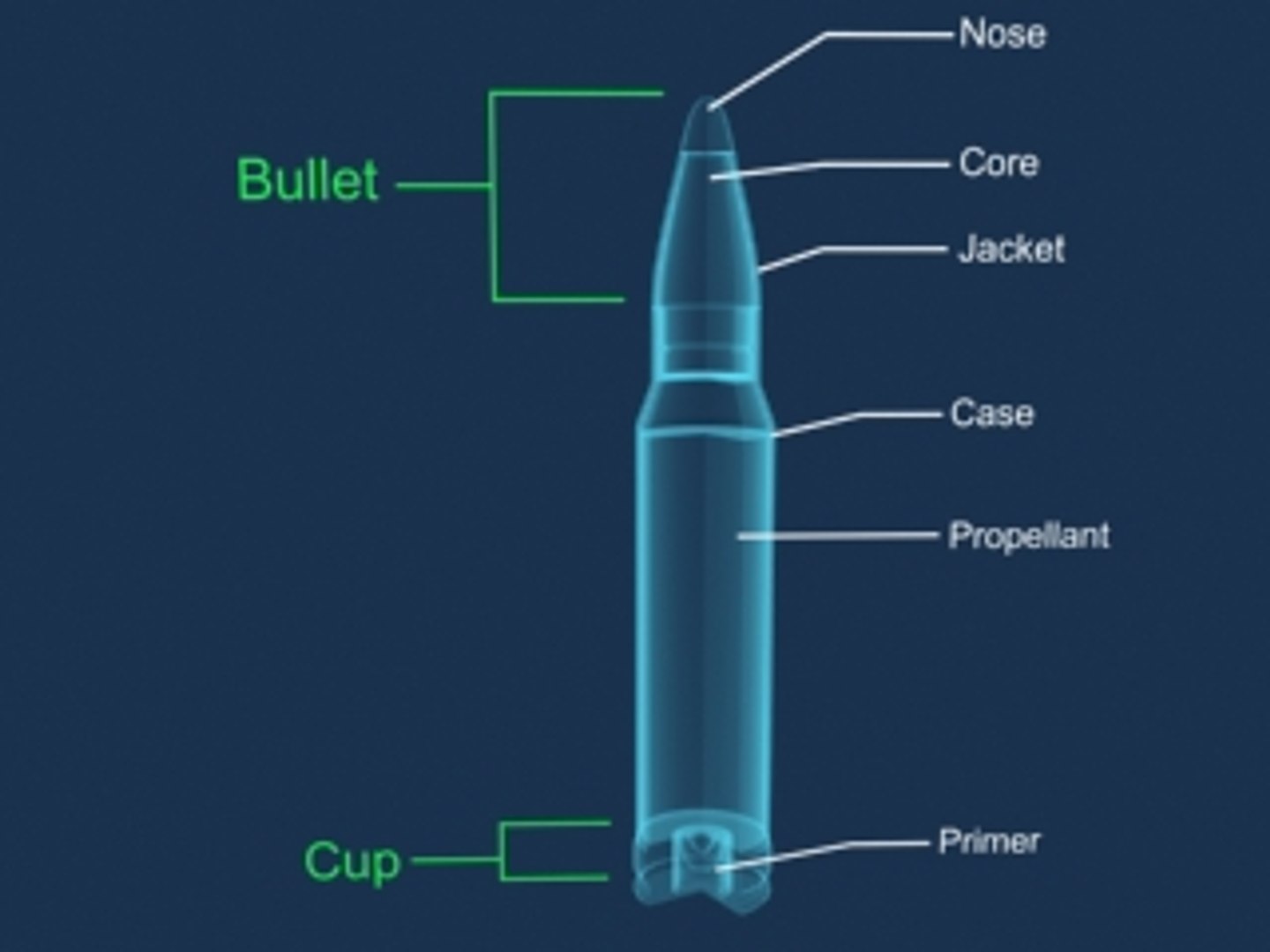 Rifle Cartridge Cutaway 3d Model