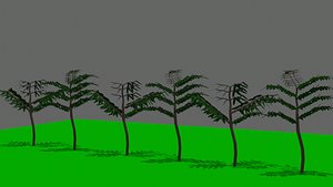3D Camboja Tree 3D model