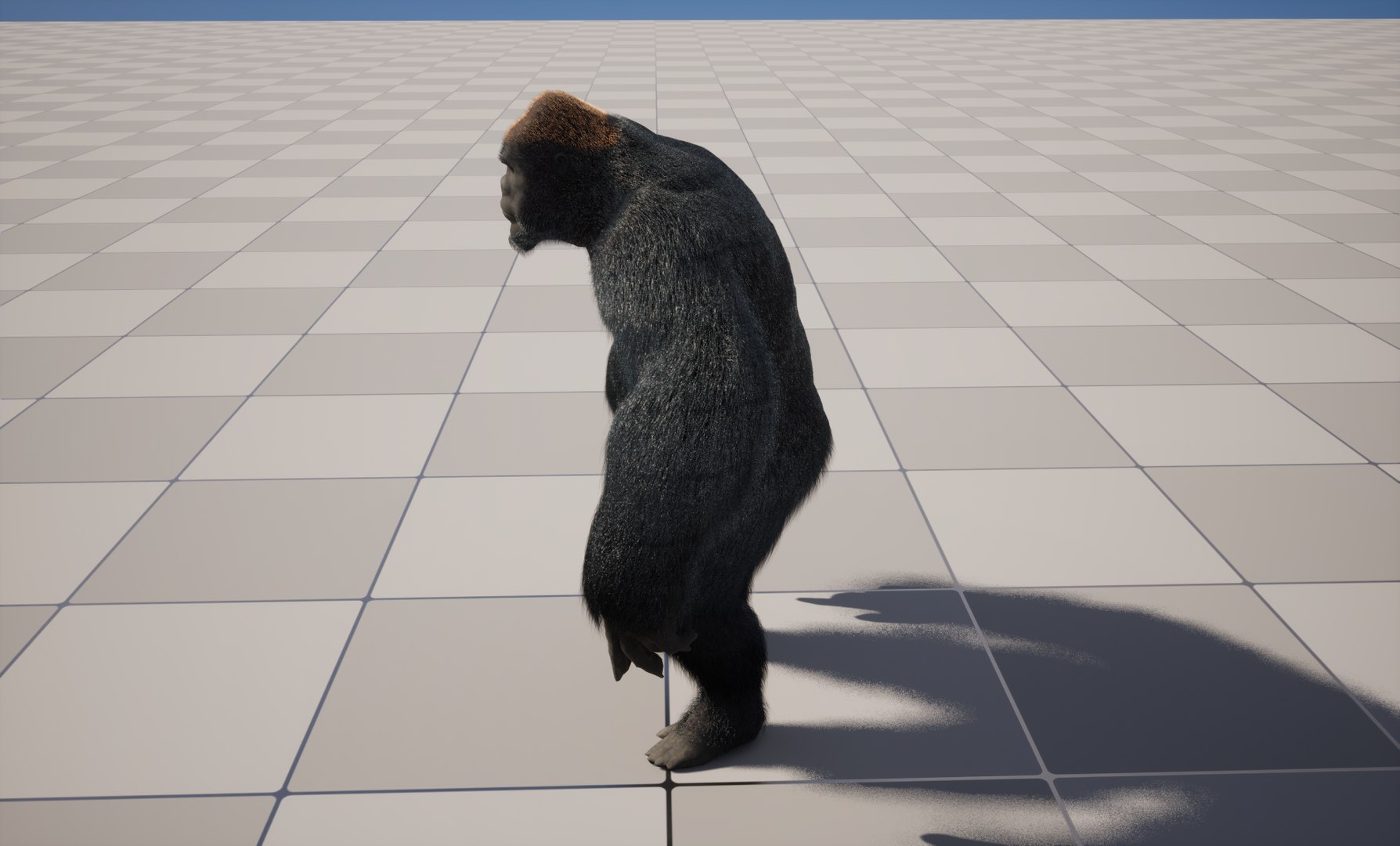 UE5 Gorilla Rigged Fur model https://p.turbosquid.com/ts-thumb/Bv/jnITDk/Bb/highresscreenshot00006/png/1748078638/1920x1080/fit_q87/0d3fc21964d26297752e279d98ce372d1b1b0f0b/highresscreenshot00006.jpg