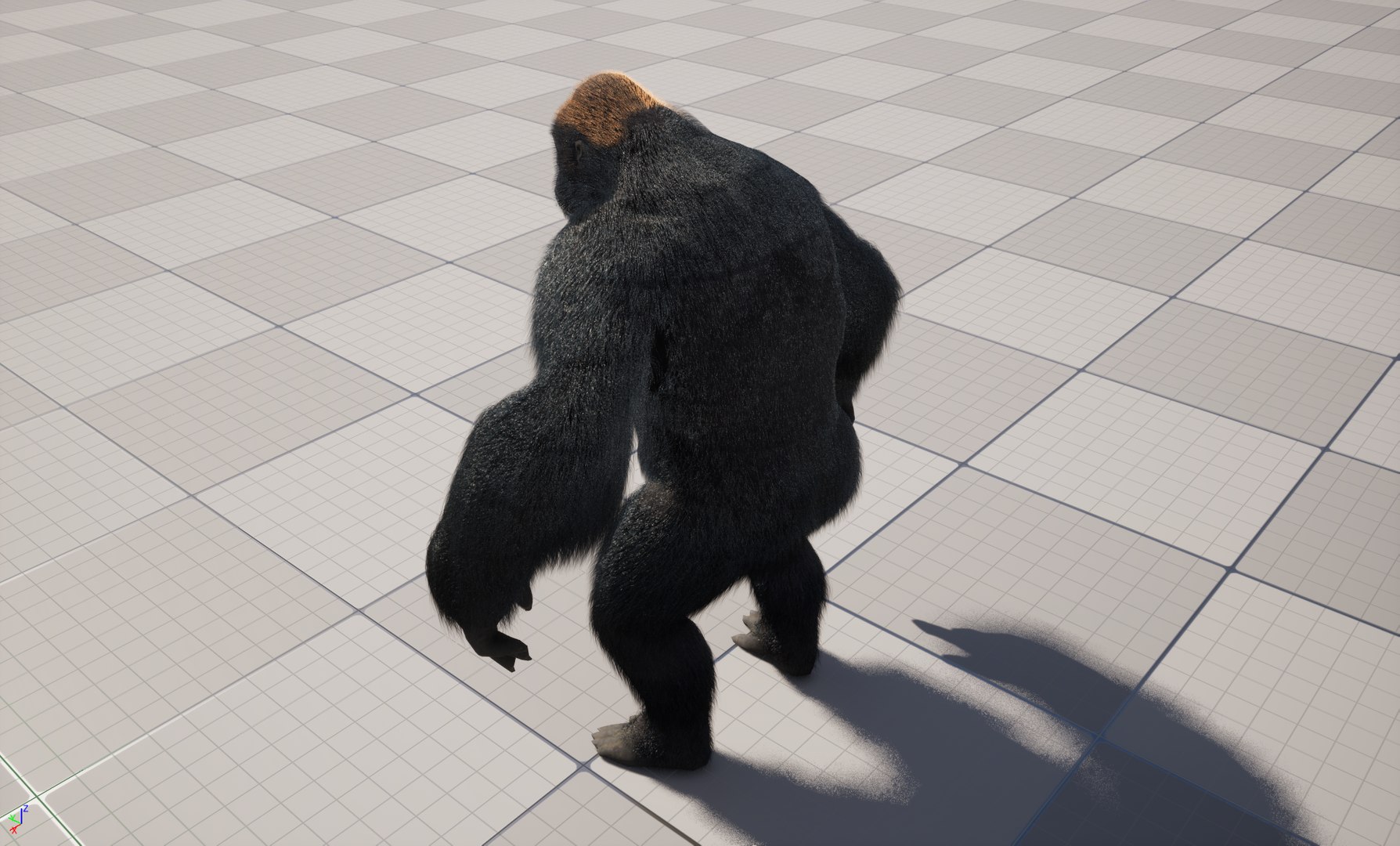 UE5 Gorilla Rigged Fur model https://p.turbosquid.com/ts-thumb/Bv/jnITDk/Hy/highresscreenshot00001/png/1748078636/1920x1080/fit_q87/b88e04873e557378c47121ee8158deebeb412b66/highresscreenshot00001.jpg