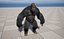 UE5 Gorilla Rigged Fur