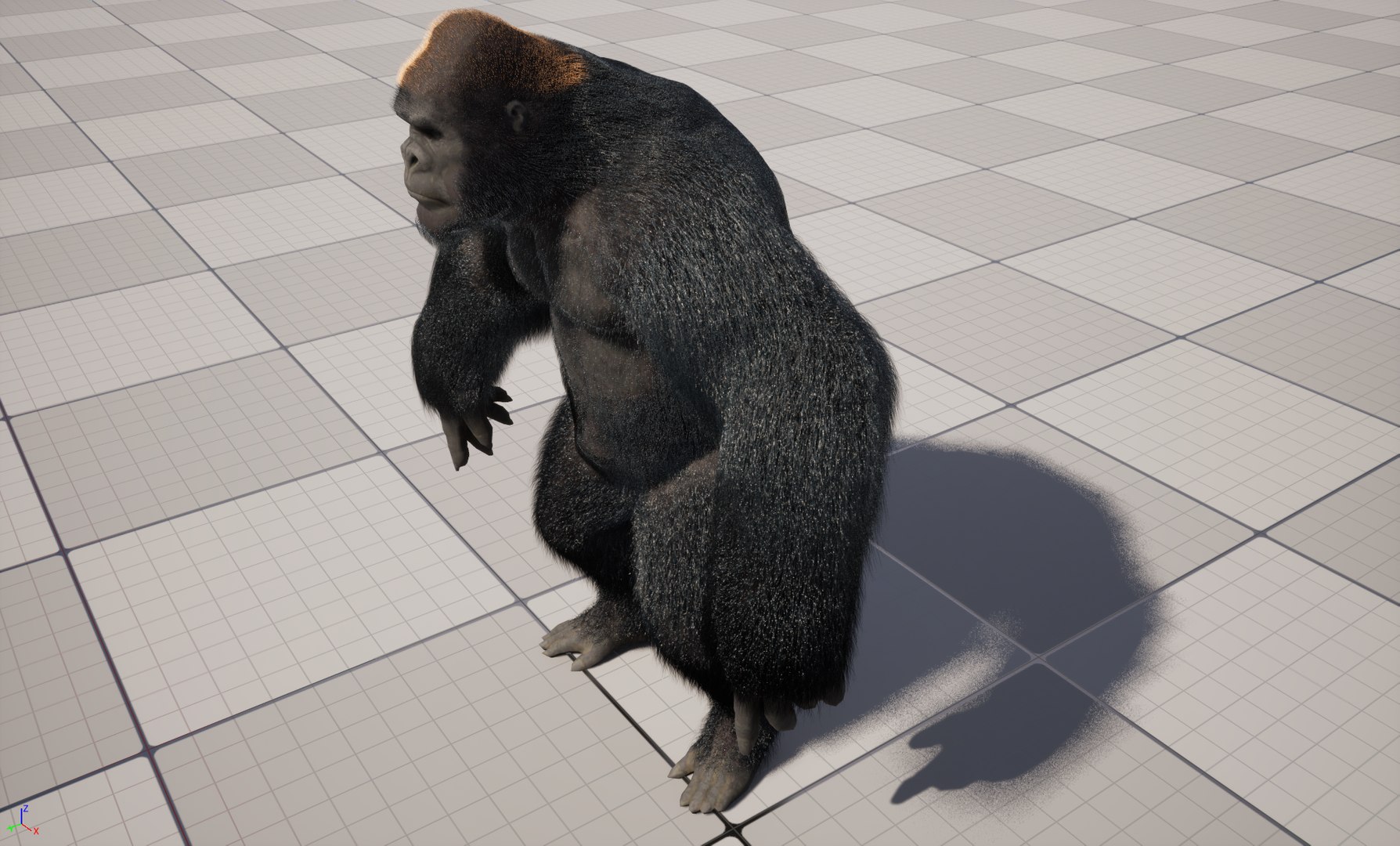 UE5 Gorilla Rigged Fur model https://p.turbosquid.com/ts-thumb/Bv/jnITDk/Vr/highresscreenshot00000/png/1748078635/1920x1080/fit_q87/85cced9c43fee02b8dbba50c865a9e3f67ce5db1/highresscreenshot00000.jpg