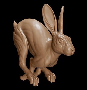 Rabbit Running 3d Print Model