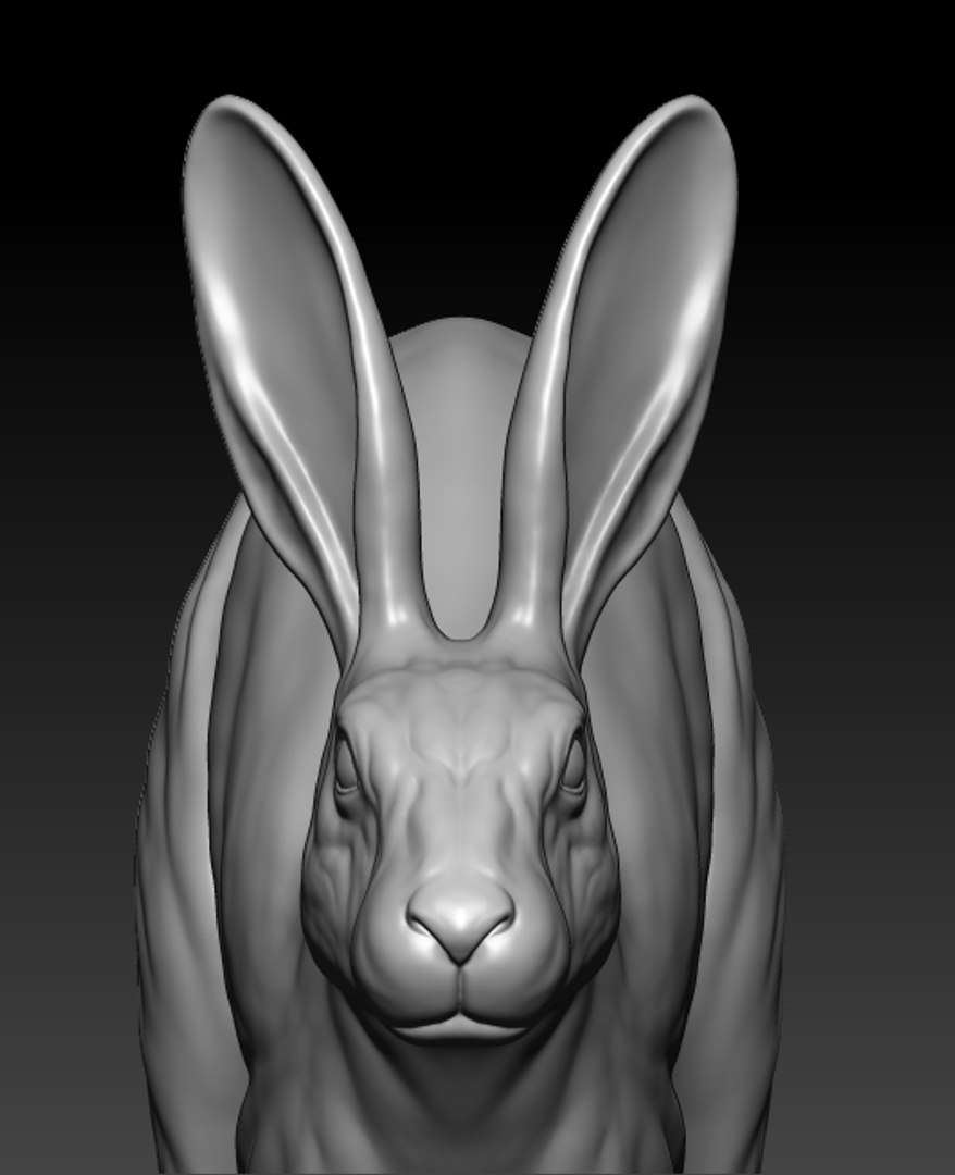 Rabbit Running 3D - TurboSquid 1686601