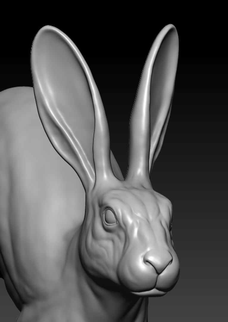 Rabbit Running 3D - TurboSquid 1686601