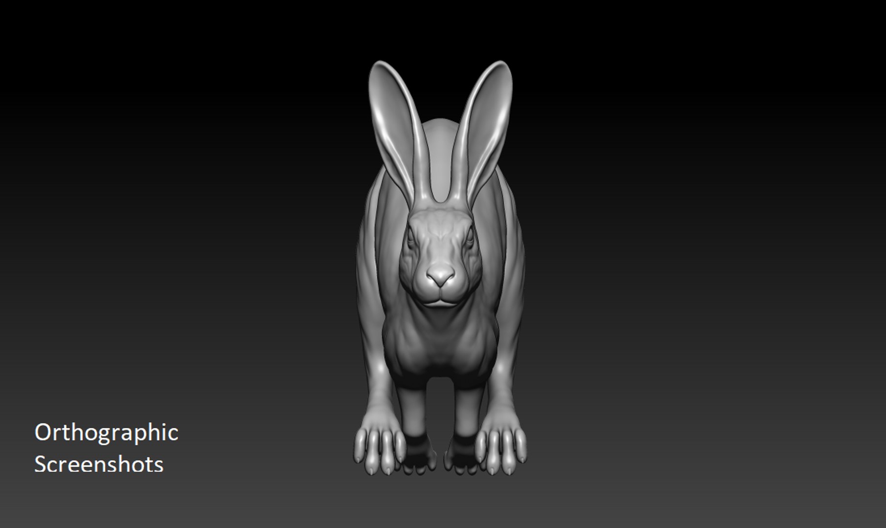 Rabbit Running 3D - TurboSquid 1686601