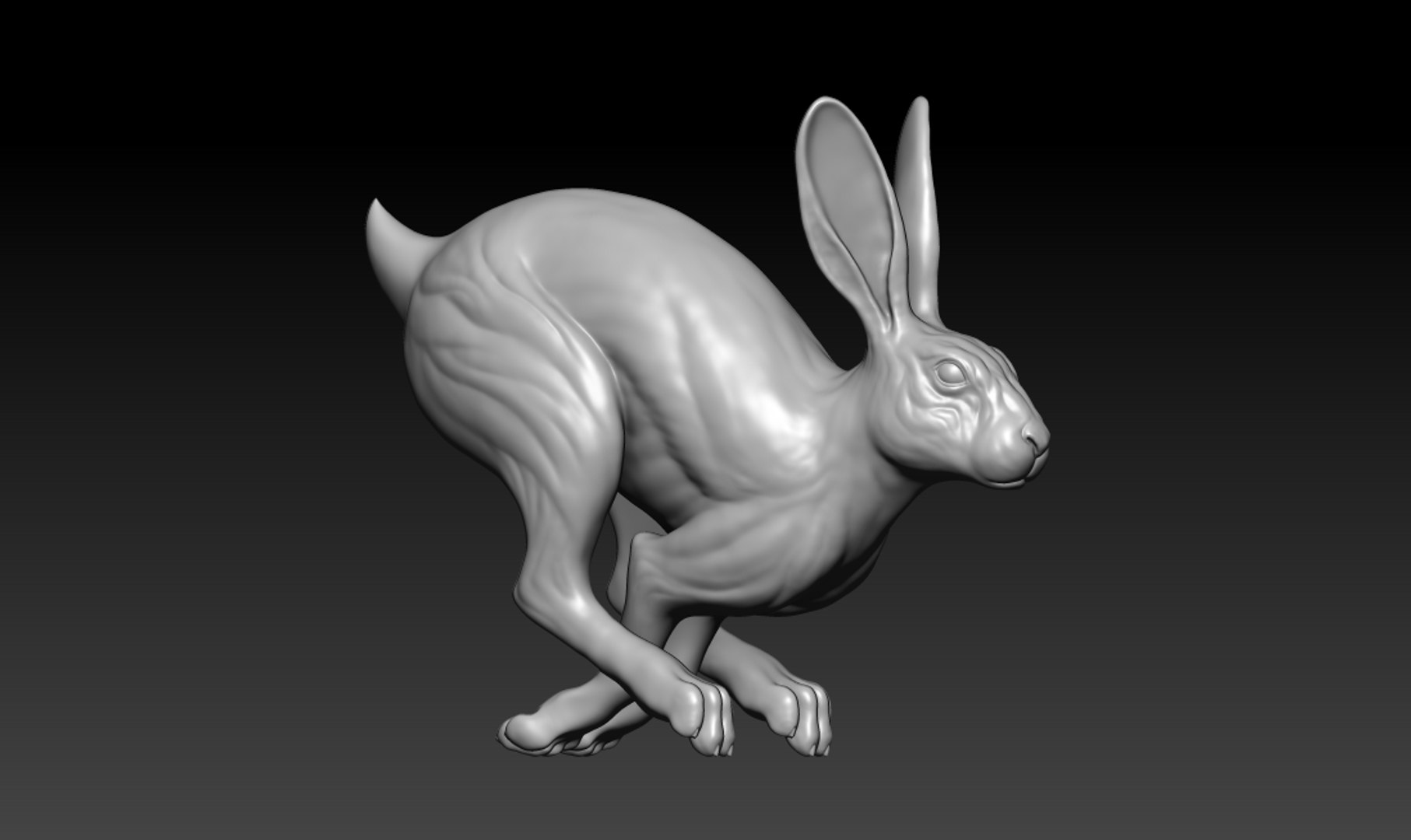 Rabbit Running 3D - TurboSquid 1686601