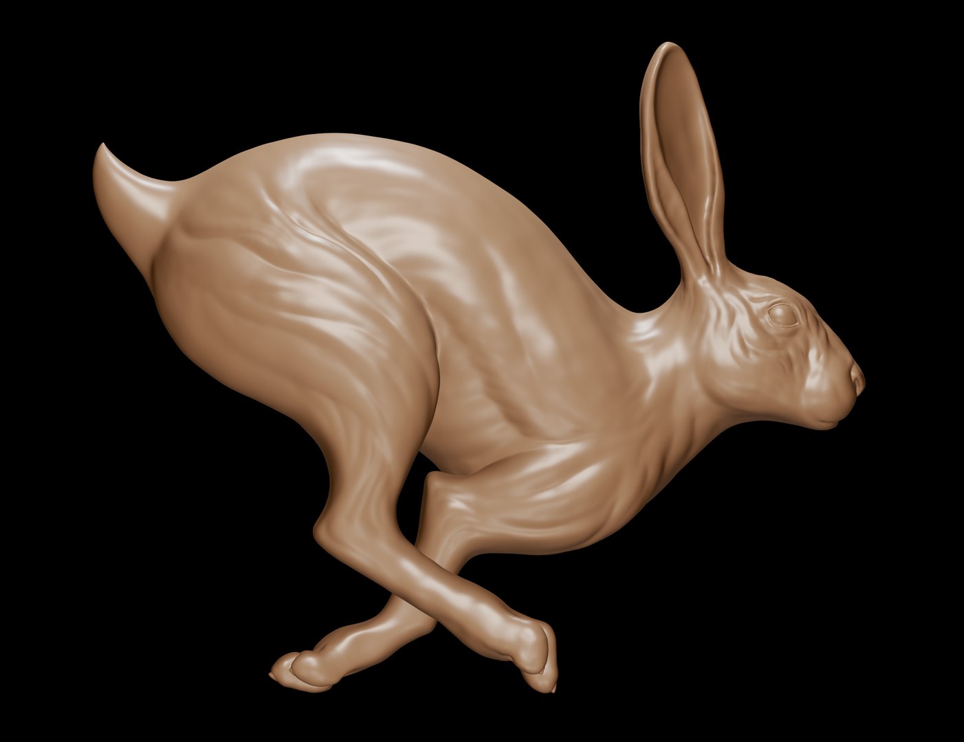 Rabbit Running 3D - TurboSquid 1686601