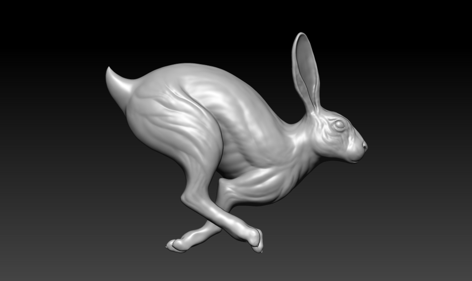 Rabbit Running 3D - TurboSquid 1686601