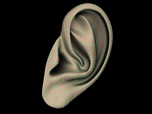 Low Poly Ear
