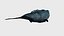 Sperm whale