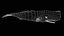 Sperm whale
