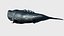 Sperm whale