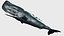 Sperm whale