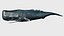 Sperm whale