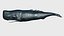 Sperm whale