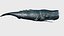 Sperm whale