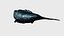 Sperm whale