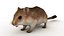 Cartoon Mouse
