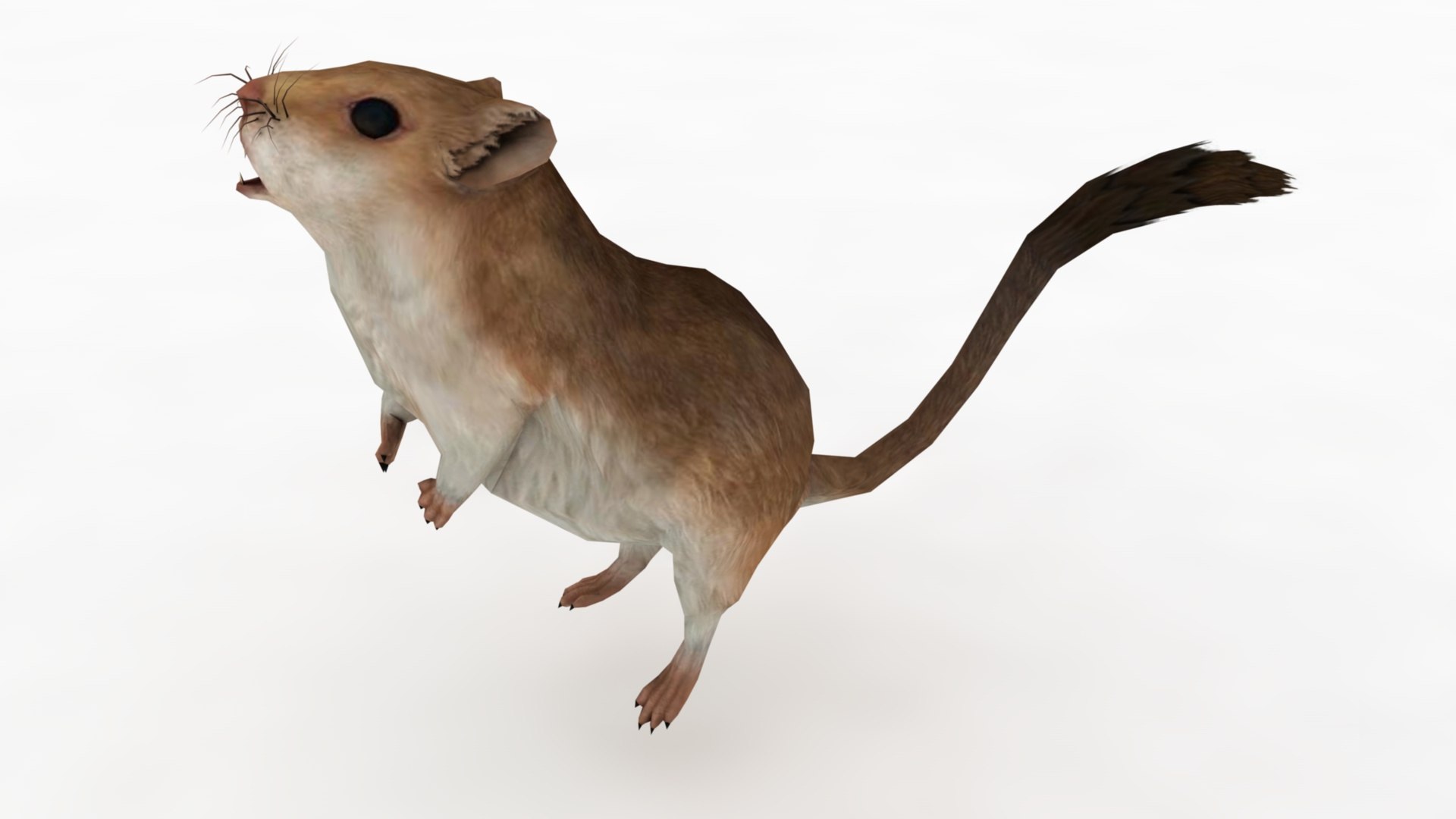 Cartoon Mouse model https://p.turbosquid.com/ts-thumb/Bv/r6z80V/Ei/dfs0029/jpg/1742979907/1920x1080/fit_q87/fa60cc1e27d417052724b0e2cd6746951dfb87e5/dfs0029.jpg