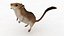 Cartoon Mouse