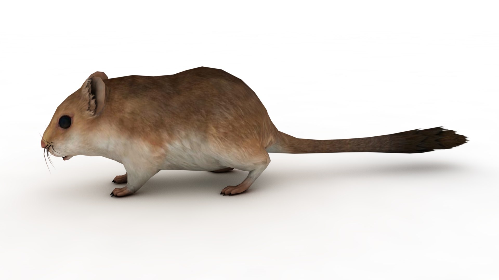 Cartoon Mouse model https://p.turbosquid.com/ts-thumb/Bv/r6z80V/Rw/dfs0003/jpg/1742979901/1920x1080/fit_q87/05390be78f1d1e0cf793cee5c6d1766be733c34b/dfs0003.jpg
