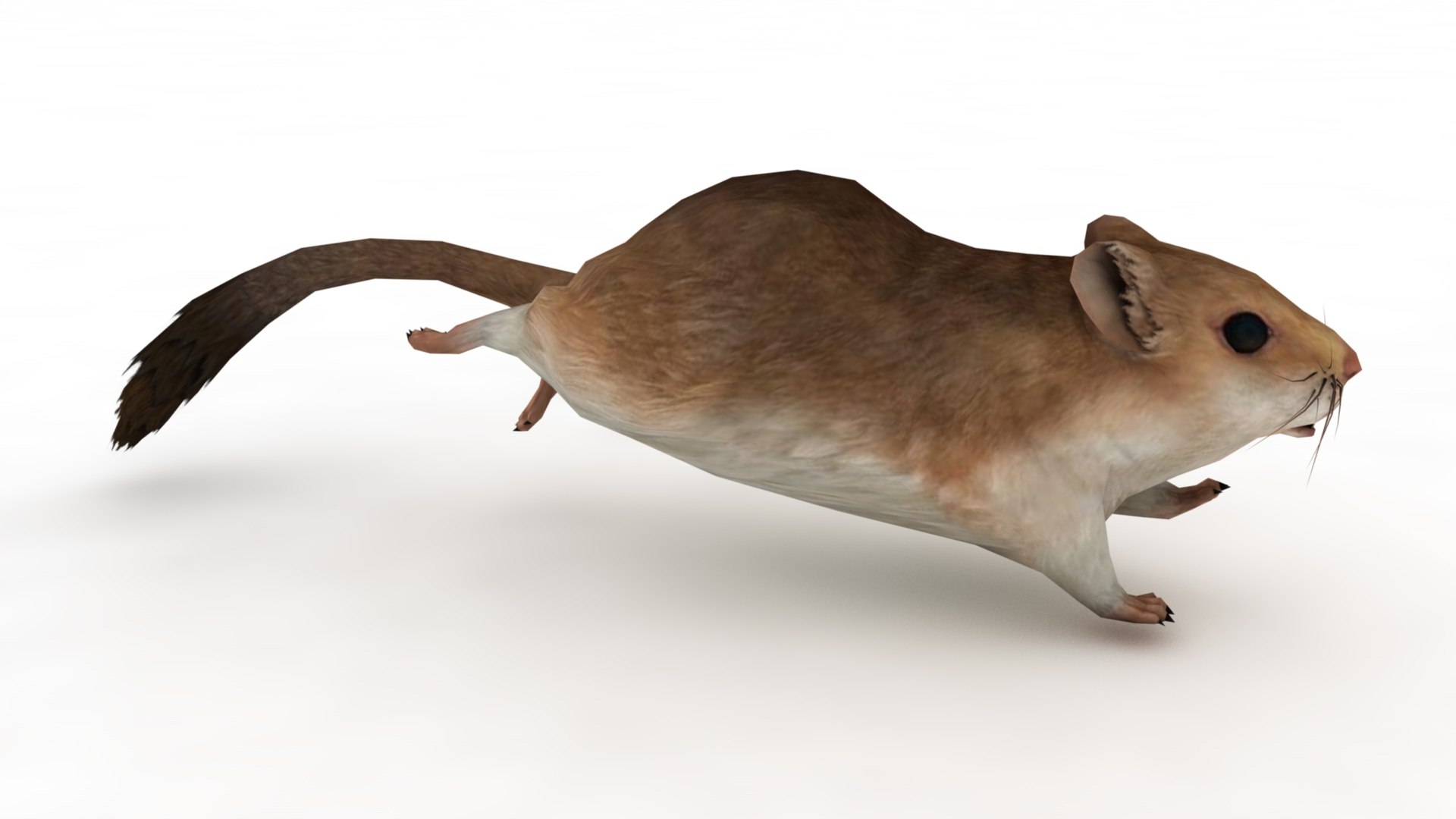 Cartoon Mouse model https://p.turbosquid.com/ts-thumb/Bv/r6z80V/UH/dfs0020/jpg/1742979906/1920x1080/fit_q87/bc84291ade462f31899fdf3cab6e717a46f8cdf9/dfs0020.jpg
