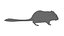 Cartoon Mouse