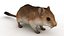 Cartoon Mouse