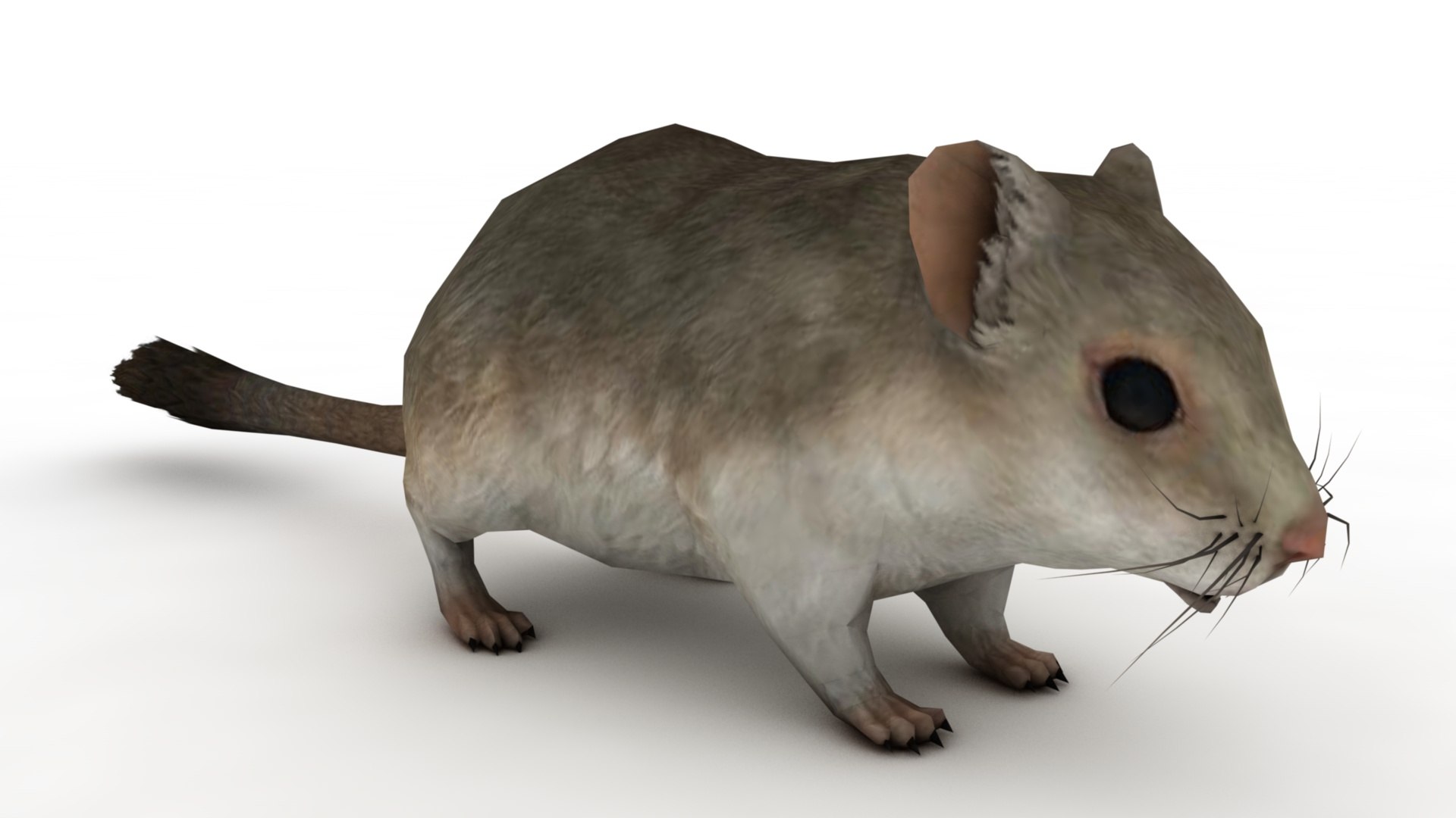 Cartoon Mouse model https://p.turbosquid.com/ts-thumb/Bv/r6z80V/gJ/dfs0015/jpg/1742979905/1920x1080/fit_q87/554e3f5c1d7383c3291cdfdadf323c5f644db672/dfs0015.jpg