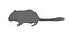 Cartoon Mouse