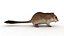 Cartoon Mouse